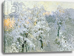 Постер Горбатов Константин Trees in Wintry Silver, 1910
