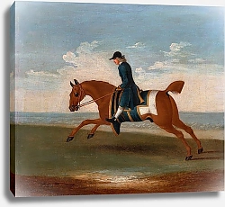 Постер Сеймур Джеймс One of Four Portraits of Horses - a Chestnut Racehorse Exercised by a Trainer in a Blue Coat 1730