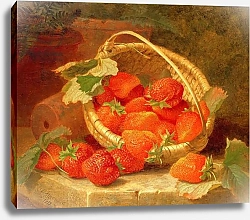 Постер Стэннард Элоиза A Basket of Strawberries on a stone ledge, 1888