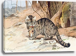 Постер Кунер Вильгельм Wildcat, plate from 