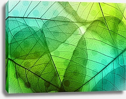 Постер Прозрачные листья зелено-голубых оттенков