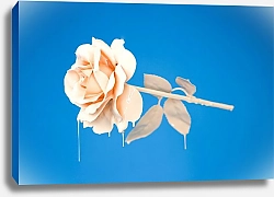 Постер Роза в белой краске на синем фоне