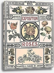 Постер Выставка роз
