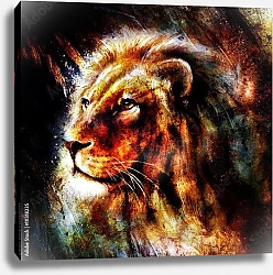 Постер Портрет льва
