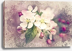 Постер Состаренное фото с цветущей веткой яблони