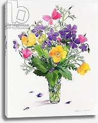 Постер Рэйленд Кристофер (совр) Poppies and Geraniums