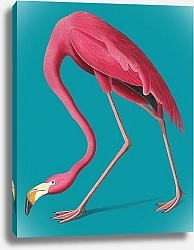 Постер Розовый фламинго на голубом фоне