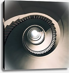 Постер Удивительная спиральная лестница
