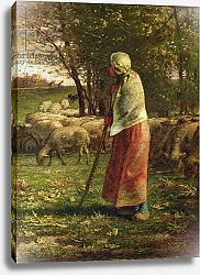 Постер Милле, Жан-Франсуа The Little Shepherdess