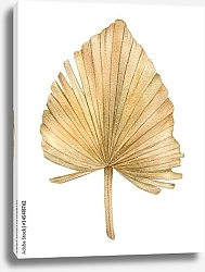 Постер Сушеный веерный пальмовый лист