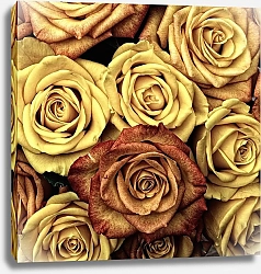 Постер Желтые розы 1