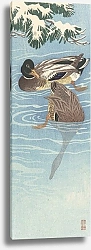 Постер Косон Охара Flock of wild ducks in the water