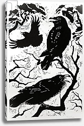 Постер Морли Нэт (совр) Ravens, 1998