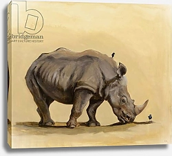 Постер Сандерс Франческа (совр) White rhino and starlings, 2012,