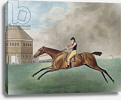Постер Стаббс Джордж Baronet, 1794