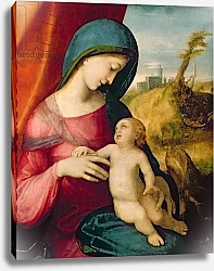 Постер Корреджо (Correggio) Madonna and Child, 1512-14
