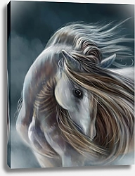 Постер Белая лошадь с длинной гривой