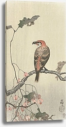 Постер Косон Охара Crossbill on tree branch