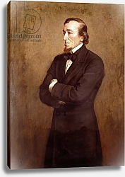Постер Милле Джон Эверетт Portrait of Benjamin Disraeli Earl of Beaconsfield, 1881