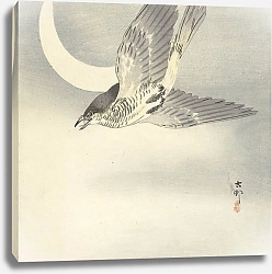 Постер Косон Охара Cuckoo at crescent moon