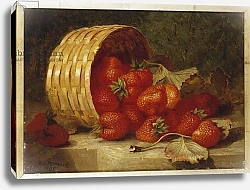 Постер Стэннард Элоиза Strawberries in a Wicker Basket on a Ledge, 1895
