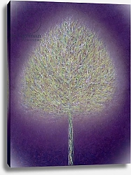 Постер Дэвидсон Питер (совр) Mystical Tree, 1996