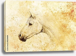 Постер Рисунок лошади на старой бумаге