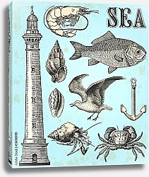 Постер Морская коллекция 2