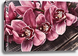 Постер Пурпурные орхидеи