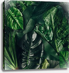 Постер Тропические зеленые листья