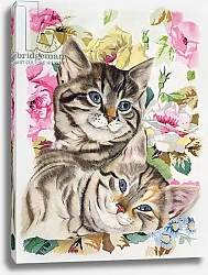 Постер Робинсон Анне (совр) Two kittens