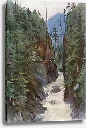 Постер Коппинг Харольд Capilano Canyon, near North Vancouver