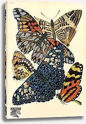 Постер Papillons by E. A. Seguy №14