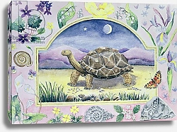 Постер Александер Вивика (совр) Giant Tortoise