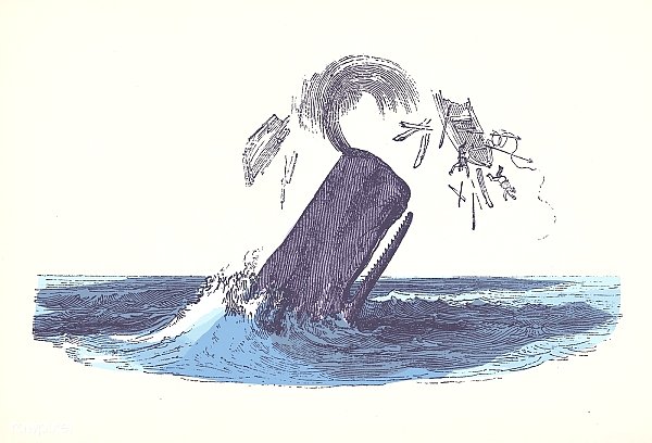 Иллюстрация кашалота во время нападения на рыбацкую лодку из «Естественной истории кашалота» (1839) Томаса Била (1807-1849).