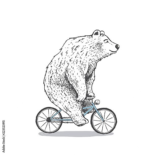 Белый медведь на велосипеде