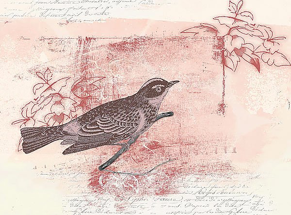Старинная открытка с птицей