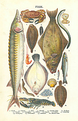 Постер Fish 1