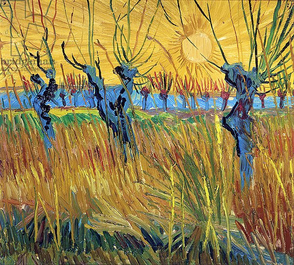 Pollarded Willows and Setting Sun, 1888