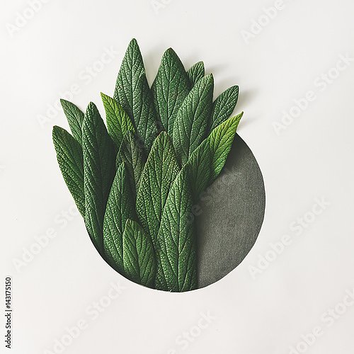 Круг с зелеными сочными листьями