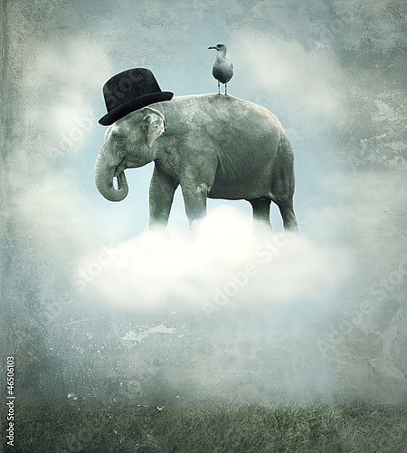 Слон на облаке