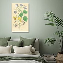 «Glycine, Harrisonia» в интерьере зеленой спальни