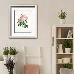 «Rosa gallica» в интерьере комнаты в стиле прованс с цветами лаванды