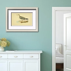 «Heuglin's Herring Gull» в интерьере коридора в стиле прованс в пастельных тонах
