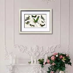 «Коллекция различных птиц 2» в интерьере в стиле прованс над камином с лепниной