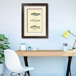 «The Common Catfish, The Margined Stone Catfish, The Big-mouthed Buffalo Fish» в интерьере кабинета в современном стиле