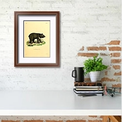 «Белогрудый медведь» в интерьере кабинета с кирпичной стеной