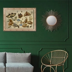 «Бабочки, ракушки и насекомые» в интерьере классической гостиной с зеленой стеной над диваном