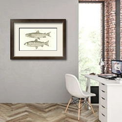 «Common Salmon, male. Common Salmon, female 2» в интерьере современного кабинета на стене