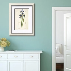 «Iris spuria L» в интерьере коридора в стиле прованс в пастельных тонах